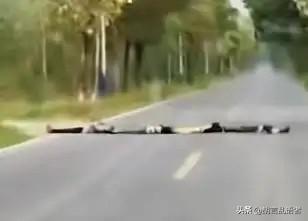 一名副驾救了五个家庭，在广东某条县道上，一位司机正开着车飞奔，忽然看到前面有一排