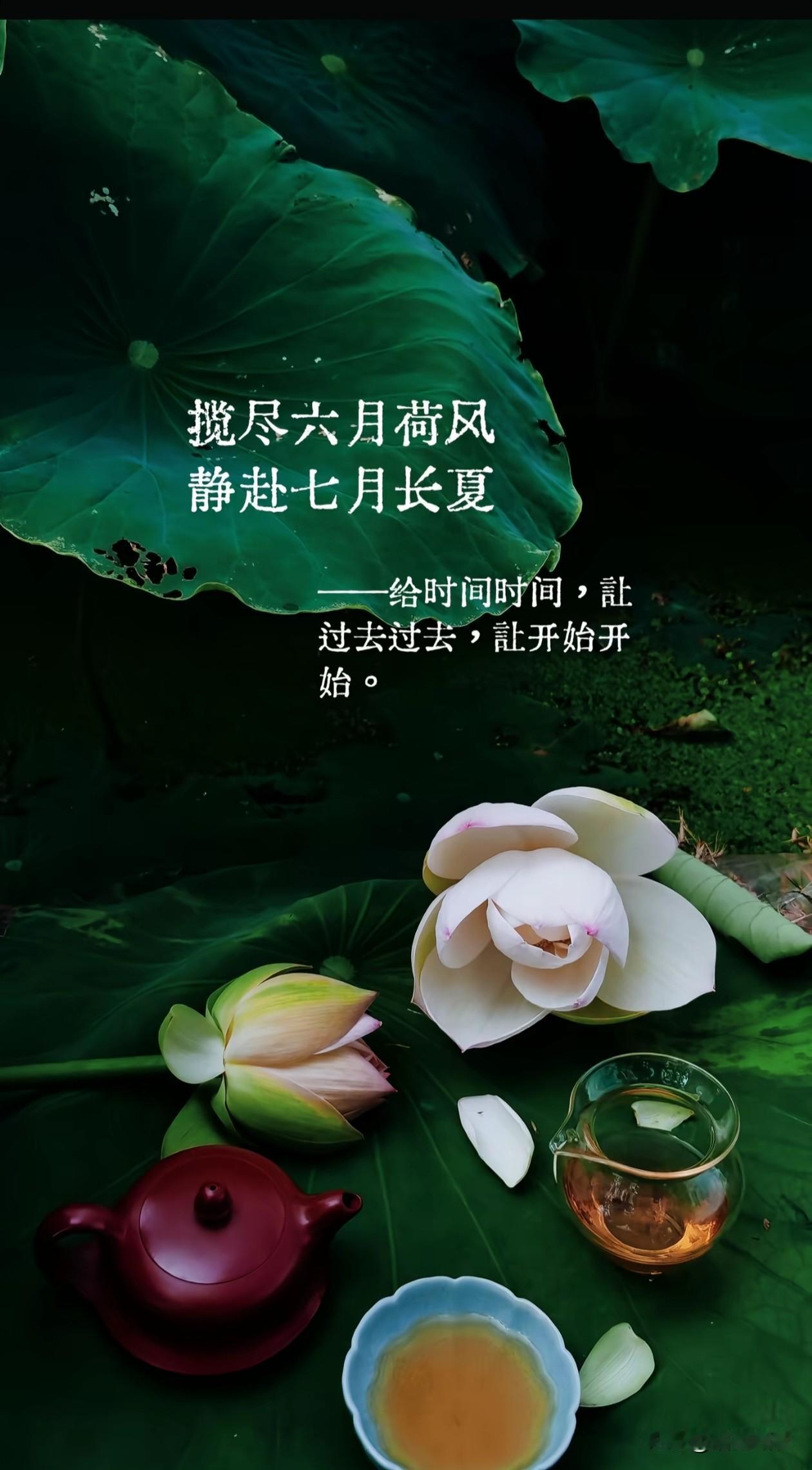 ᴳᴼᴼᴰ ᴹᴼᴿᴺᴵᴺᴳ

🌱 揽尽六月荷风，静赴七月长夏；
——给时间时间，