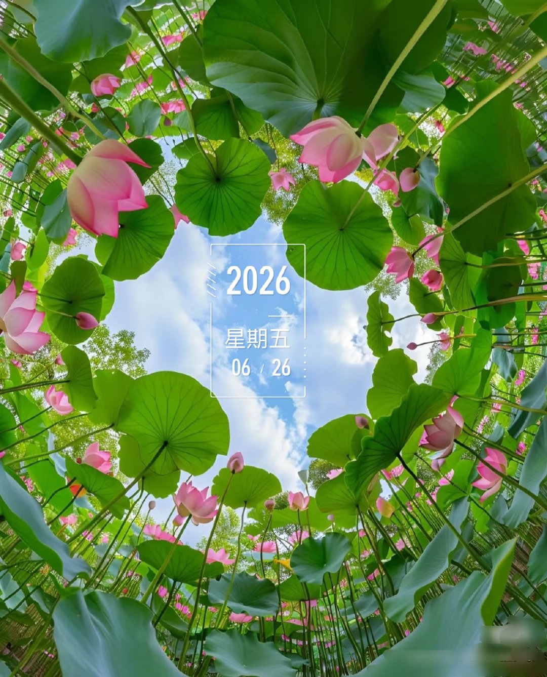 ☁️👀²º²⁶/₀₆.₂₆ ღº ✐ 🔆 ᴹᴼᴿᴺᴵᴺᴳ🍻🌿心态对了，事