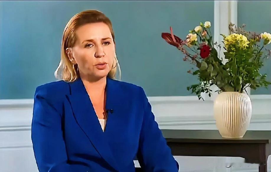 12月23日凌晨的最新消息，速报，全都不容错过，第二条： 丹麦首相不满美任命格陵