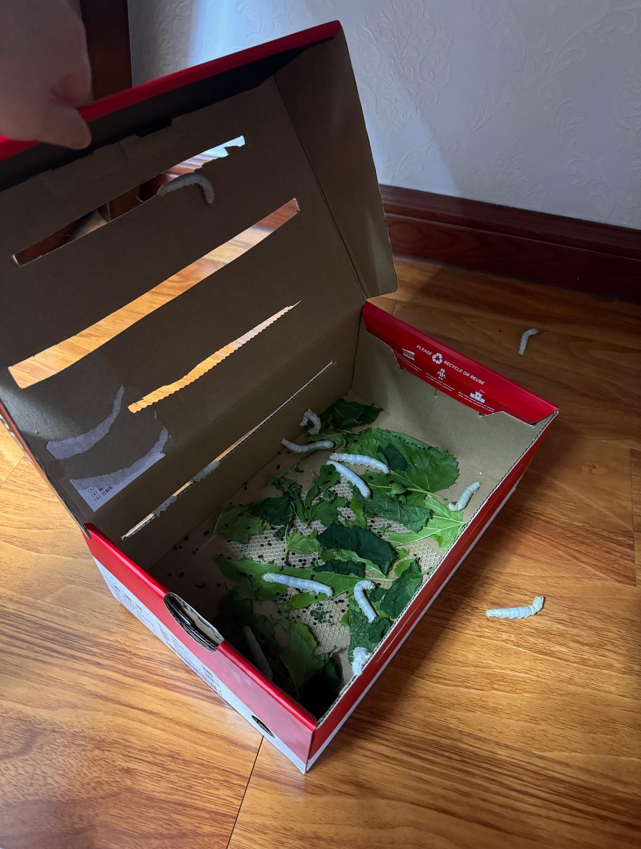 搞得什物大巴的[允悲][允悲][允悲] ​​​