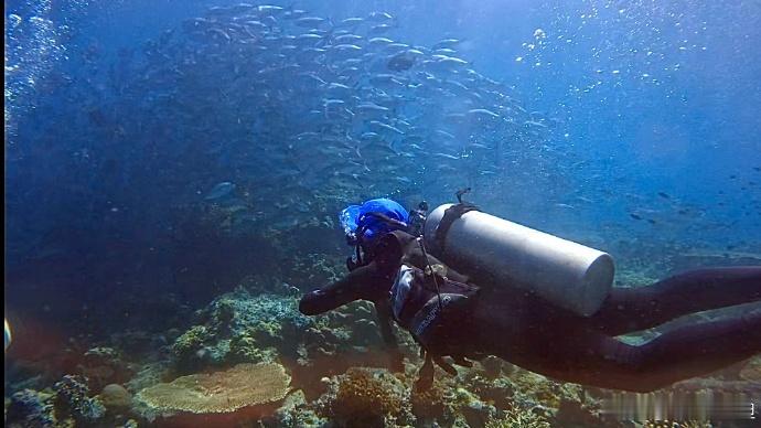 李兰迪晒Scubadiving潜水证李兰迪你还有什么惊喜是我不知道的 晒出自己的