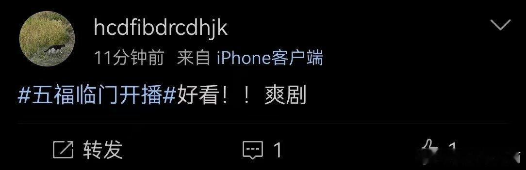 五福临门观后感  没想到《五福临门》这么好看，前三集就被吸引。春节假期，一起追剧