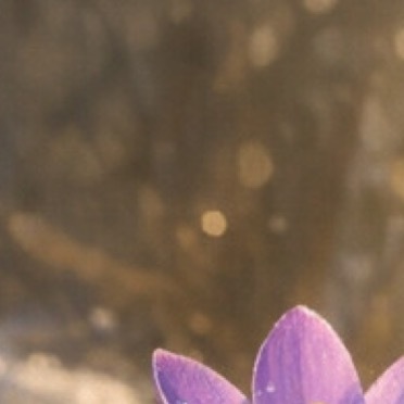 人人公益节 |人人公益节 相信梦想是价值的源泉，相信眼光决定未来的一切，相信成功