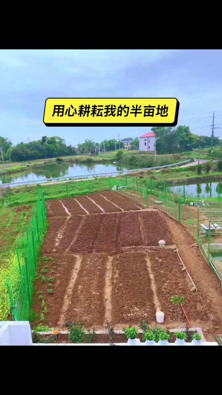 用心耕耘我的半亩地。