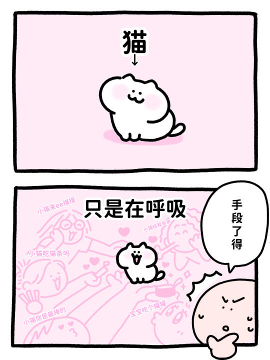 小猫：我只是在呼吸