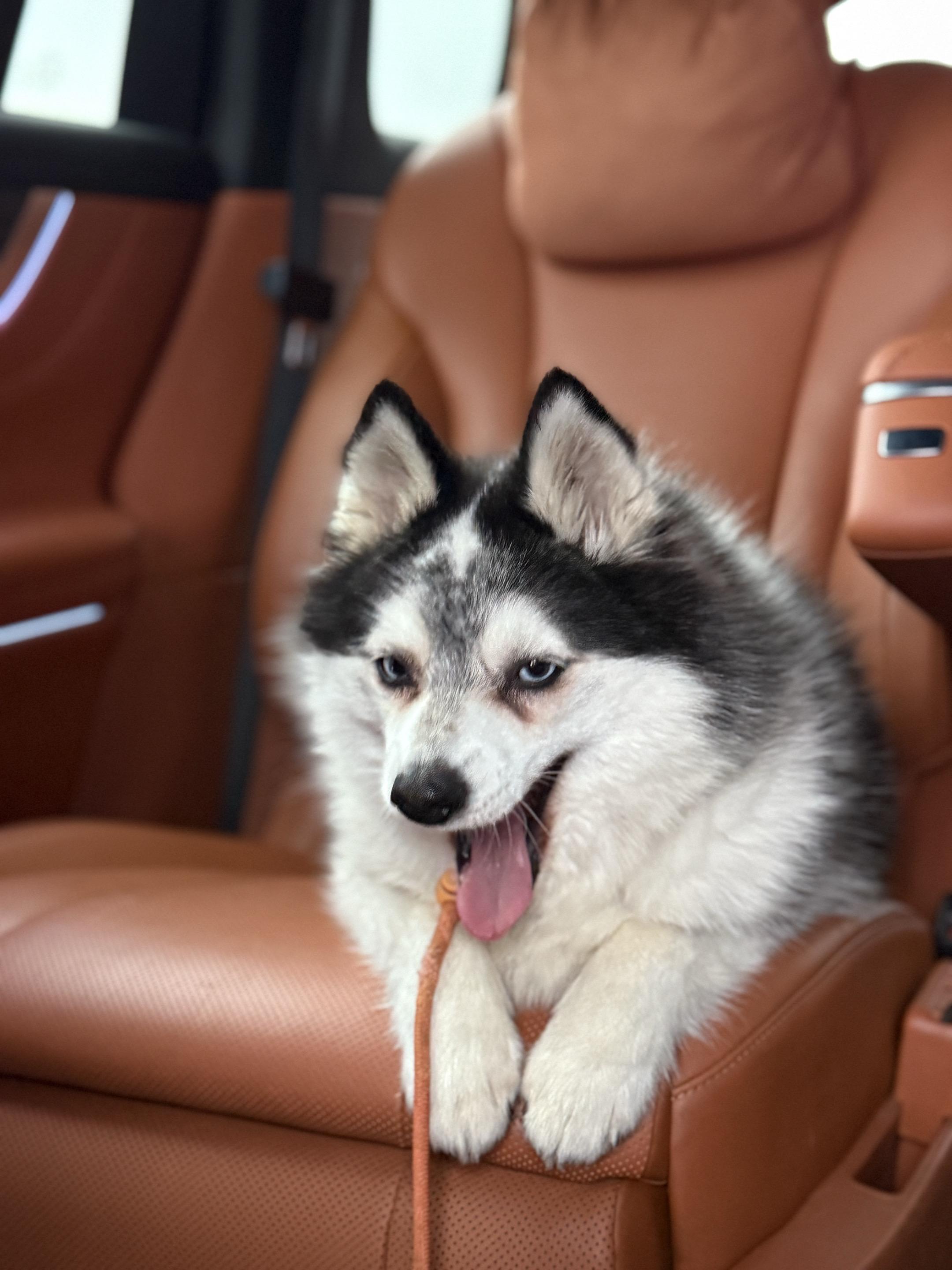 你们要的电瓶cei