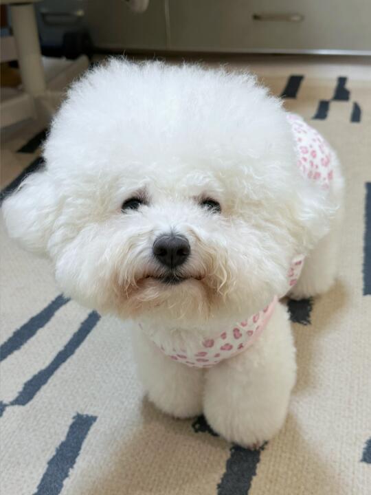 我妈说我穿裙几好看 粉粉的很可爱