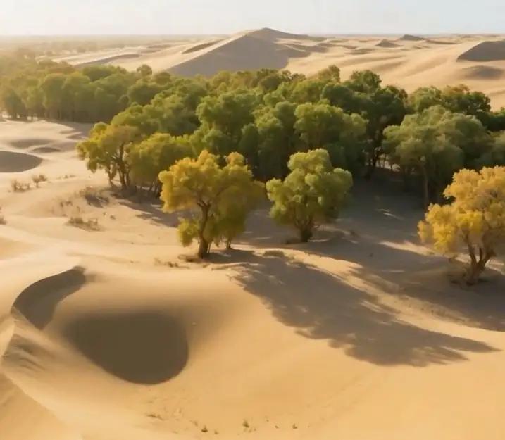 南疆第一名校塔里木大学

塔里木学大学，坐落在南疆塔里木河畔的阿拉尔市。塔里木大