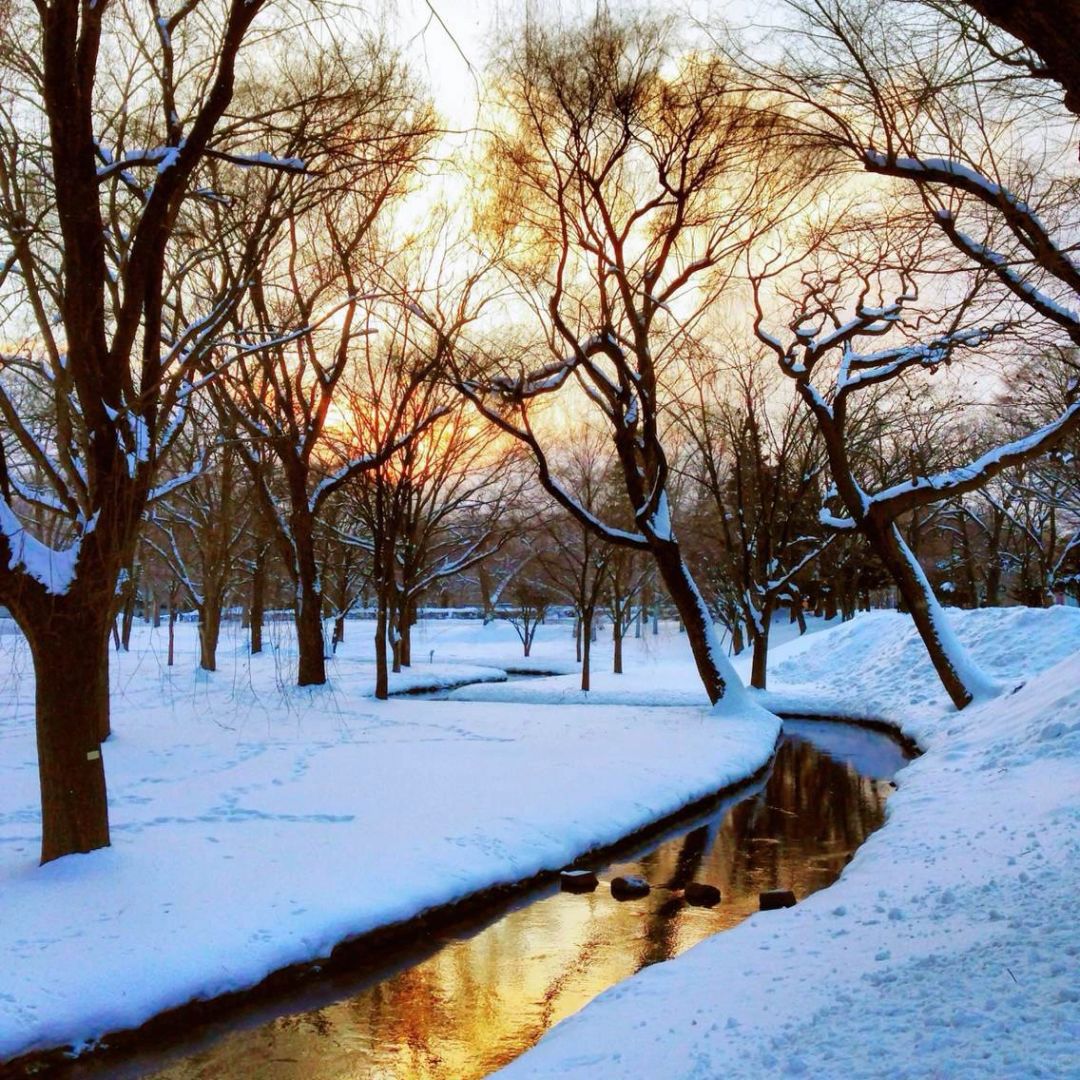 一下雪，北海道就成了北海道