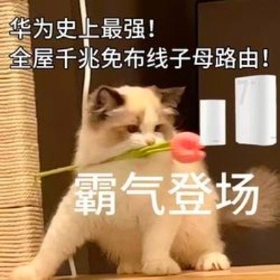 华为业界首发免布线全屋千兆路由 全屋千兆路由实现免布线全新方案，安装省心，覆盖全