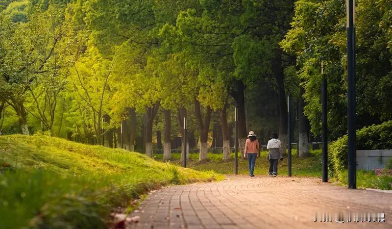 每天抽点时间散步，
是为身心进行的一次高效投资。
它不像剧烈运动那样令人望而生畏