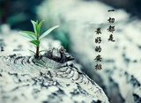 暖光儿玩玩社会