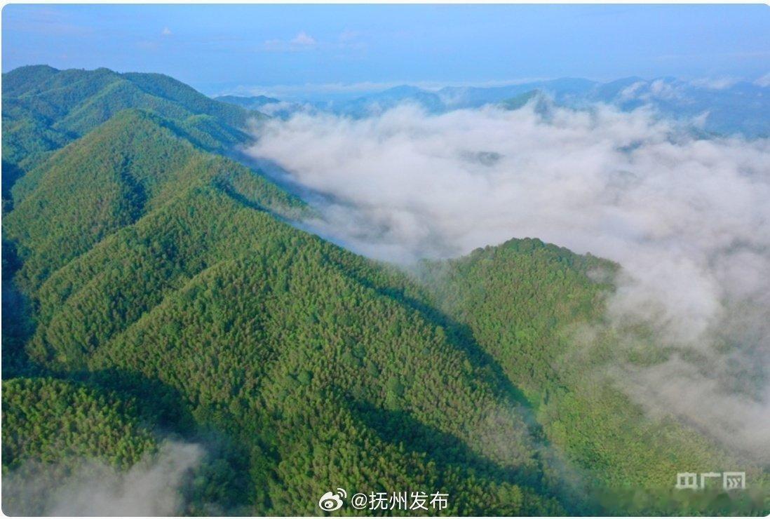 绿水青山生金记“绿水青山生金记”既是江西抚州红绿古资源融合的在地探索，更是中国二