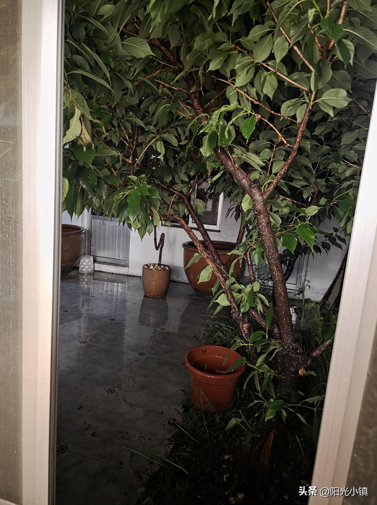 已是凌晨，躺在床上，虽然很睏，可毫无睡意……

此时此刻，窗外正下着大雨。

躺