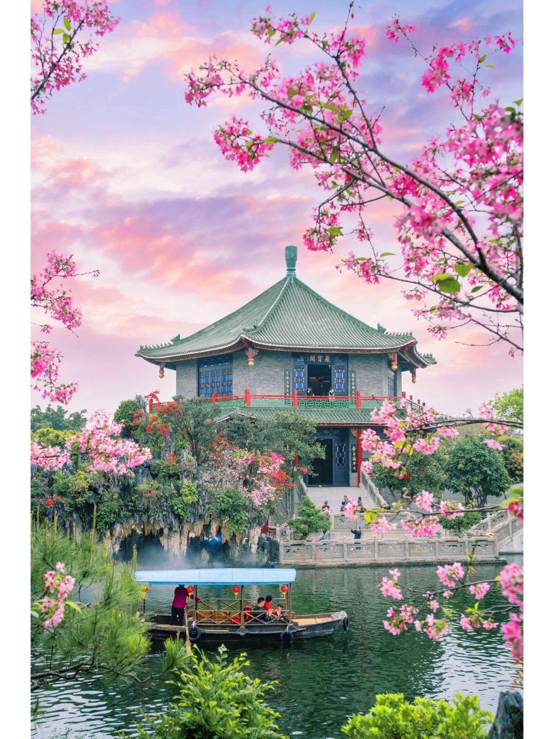 明天开幕！浪漫所有广州人的樱花🌸节它来啦~