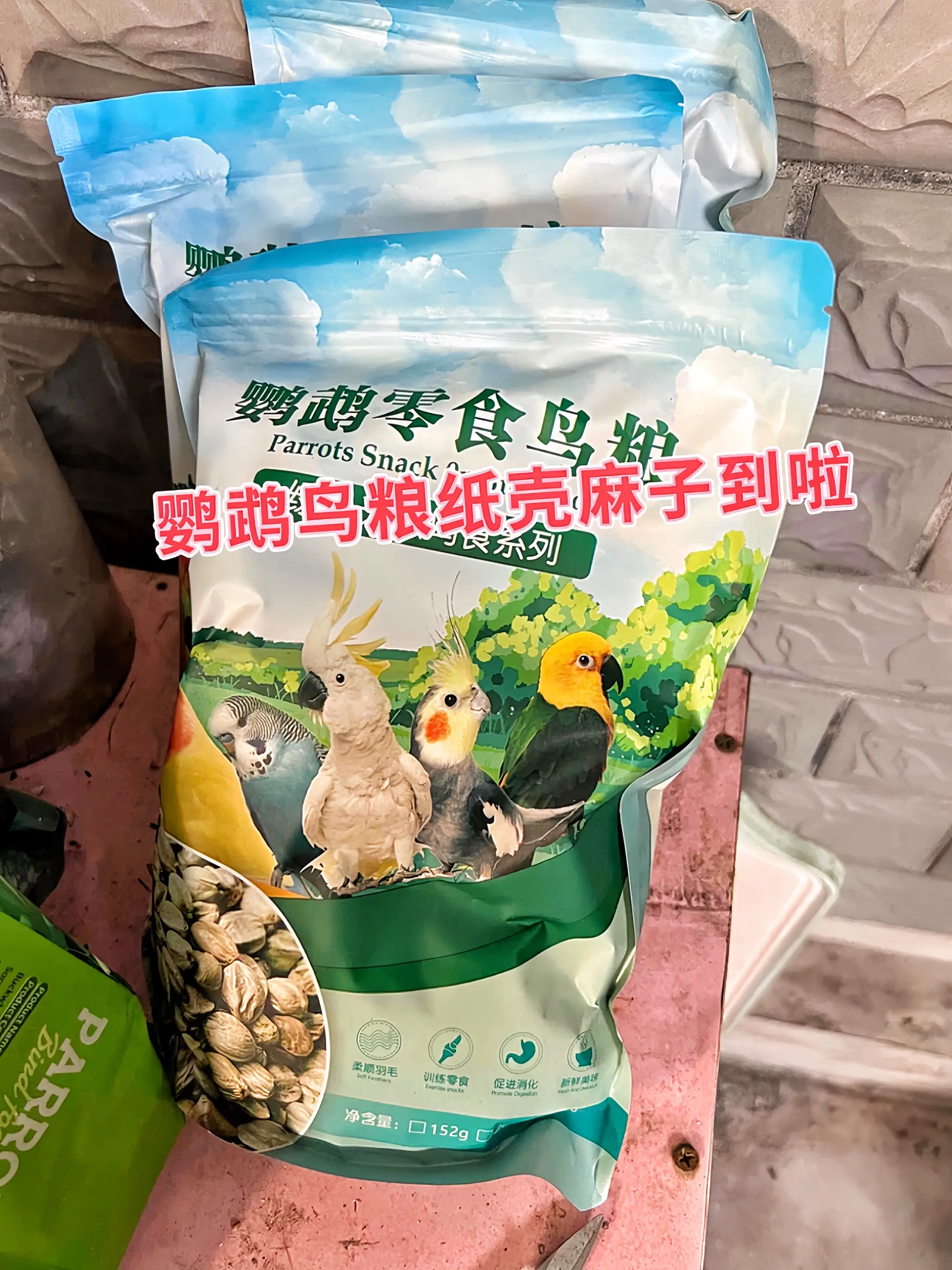 鹦鹉的快乐密码！纸壳麻子  还在发愁怎么让鹦鹉更亲人？这款纸壳麻子，就...