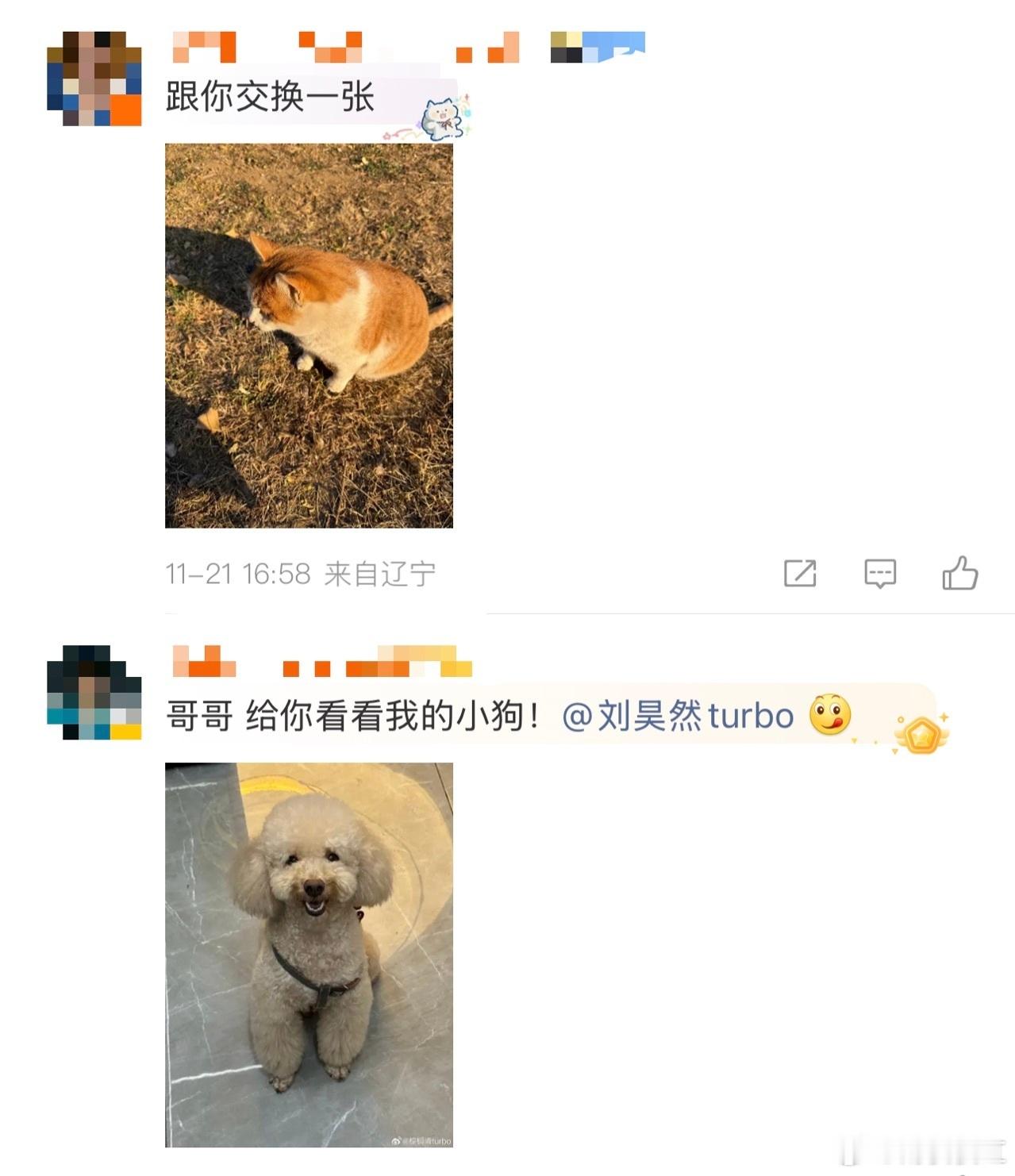 刘昊然：发出物料，评论区：收到！开始团建！这是什么？小动物！亲一口！这是什么？刘