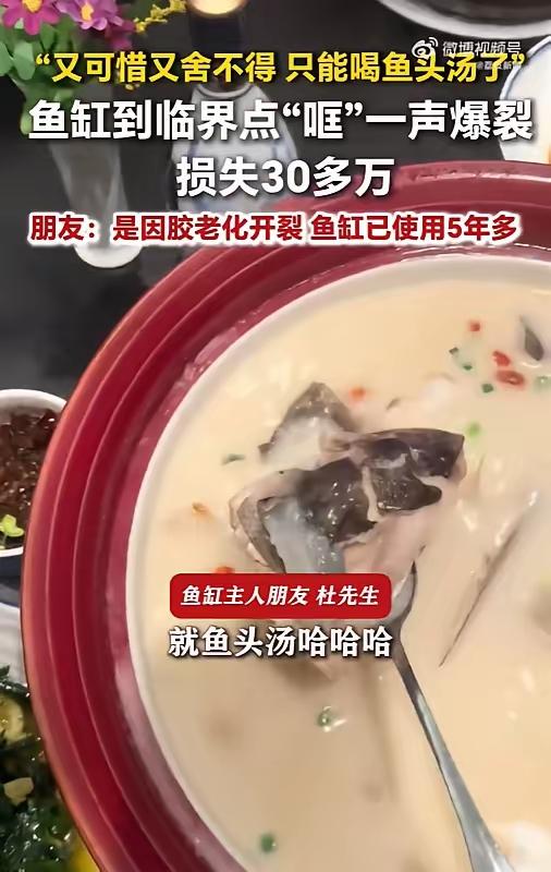 30万名贵鱼变鱼头汤！无锡男子五年鱼缸突然炸裂，网友：最贵的一锅汤
 
太惨也太