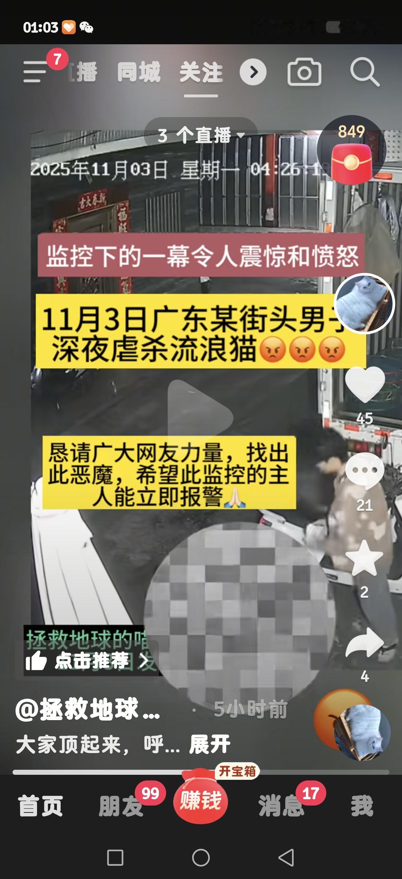 这只猫咪被虐杀，监控主人是谁，希望你也是爱心人士，应该认识这个变态吧，希望你看到