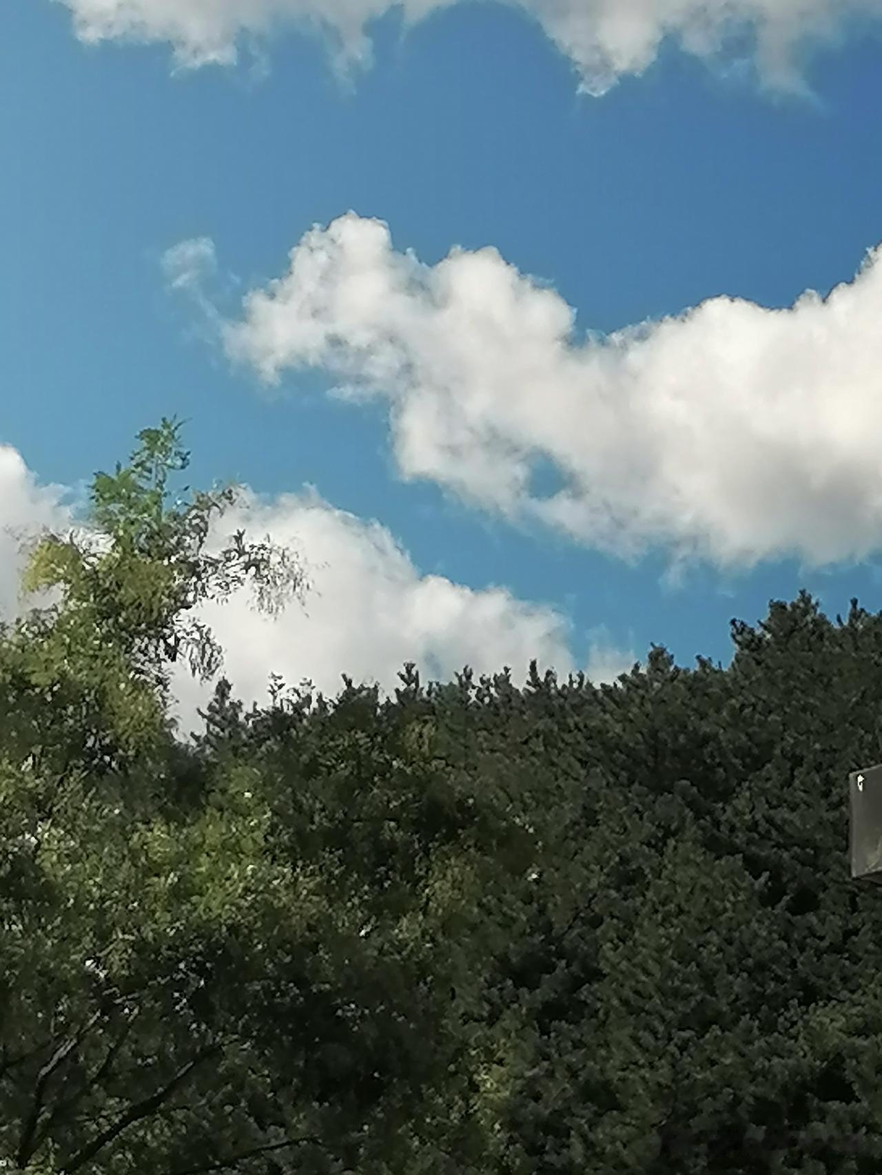晨起的天空十分惬意，晴空万里，白云朵朵，舞弄着妖娆的身姿，演示着自己的节奏，展现