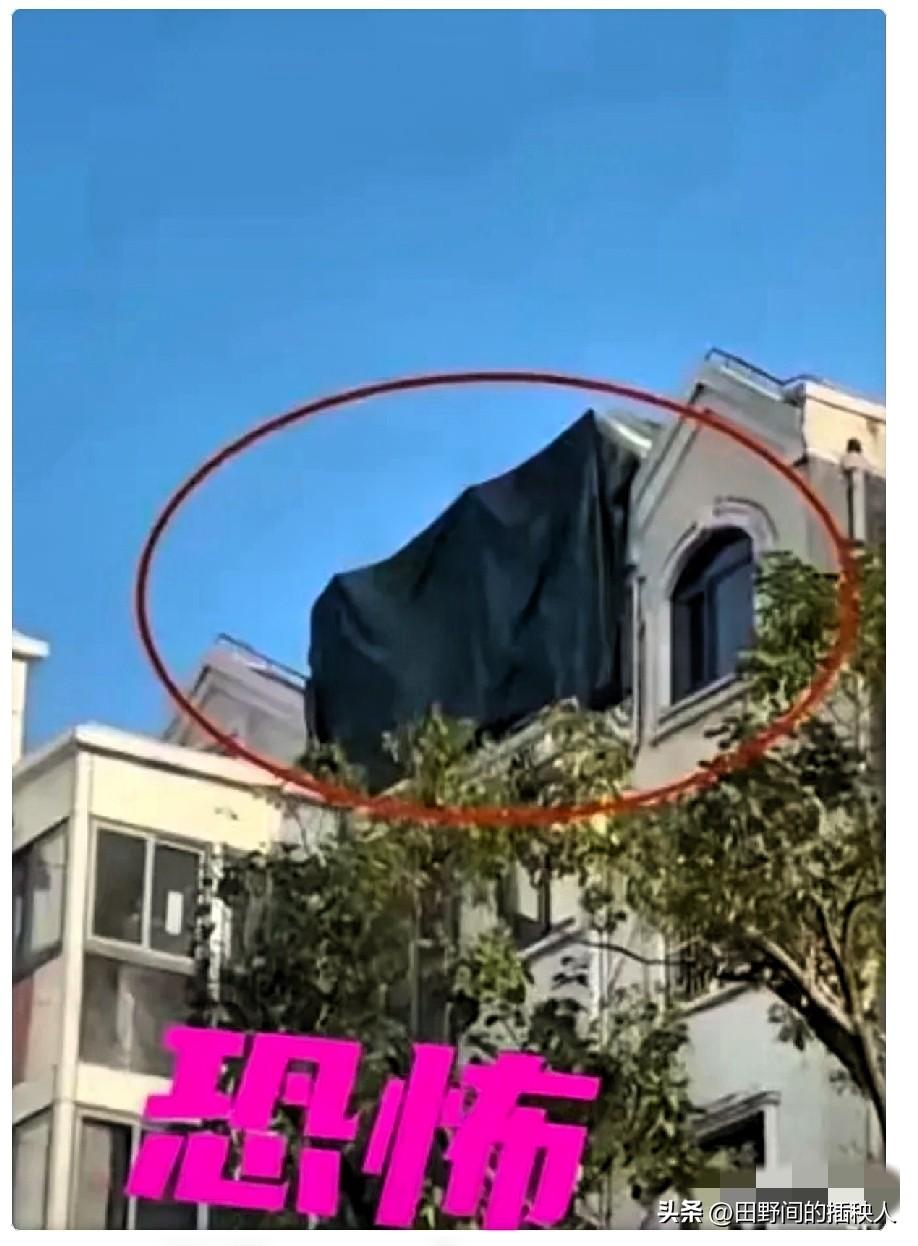 看到上海这桩新闻，我后脊背也是一凉。
 
邱先生举报小区23号楼顶违建，结果才过