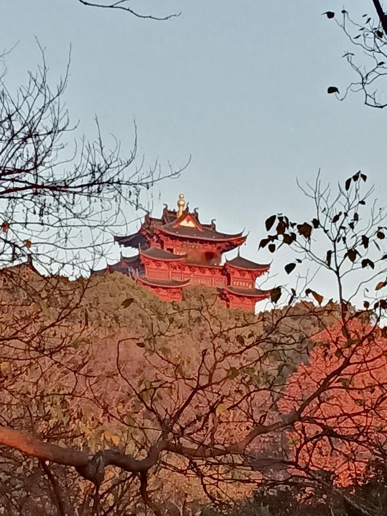 分享一张最近随手拍的照片