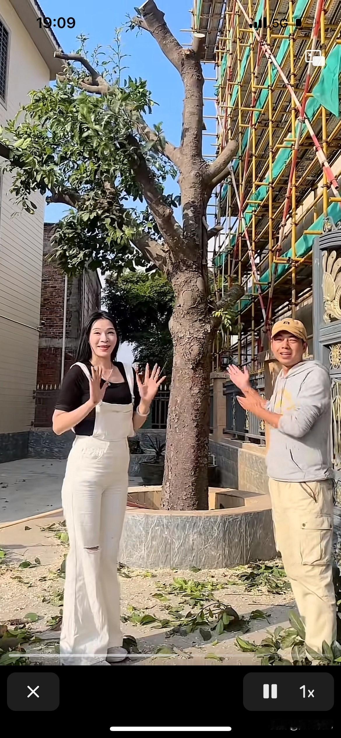 全红婵新家旁边的树已经被砍得差不多了，在很多网友的压制下，邻居还是屈服了，赶紧找