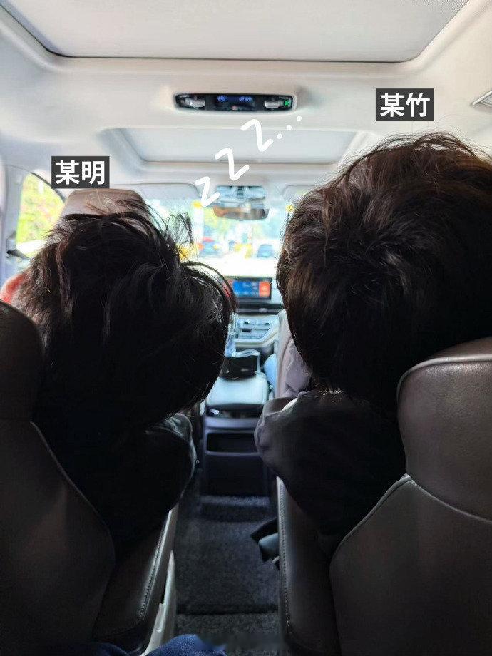 想看俩人昏睡的正脸2025PEL 竞浪大会