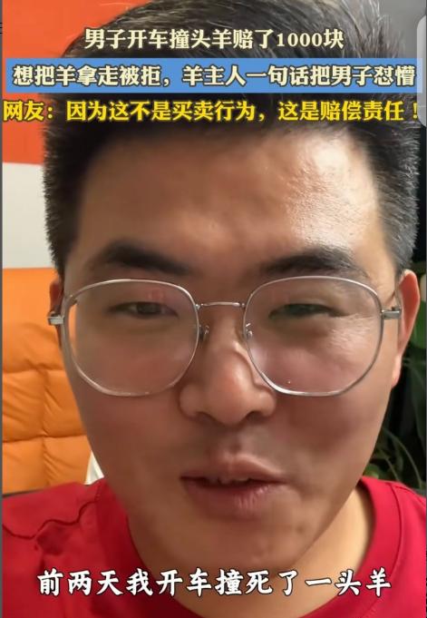 “破防了！”一男子开车，撞死一只头羊，赔了牧民1000元，他想把死羊拿走，牧民却