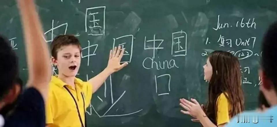 印度政府自己的人口普查，暴露了印地语最大的尴尬。
 
2011年那份普查，把博杰