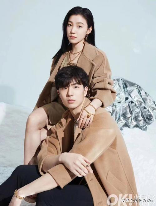 优美动听的旋律，柔美的舞姿，帅哥美女犹如一对蝶儿在冰上翩翩起舞，你中有我，我中有