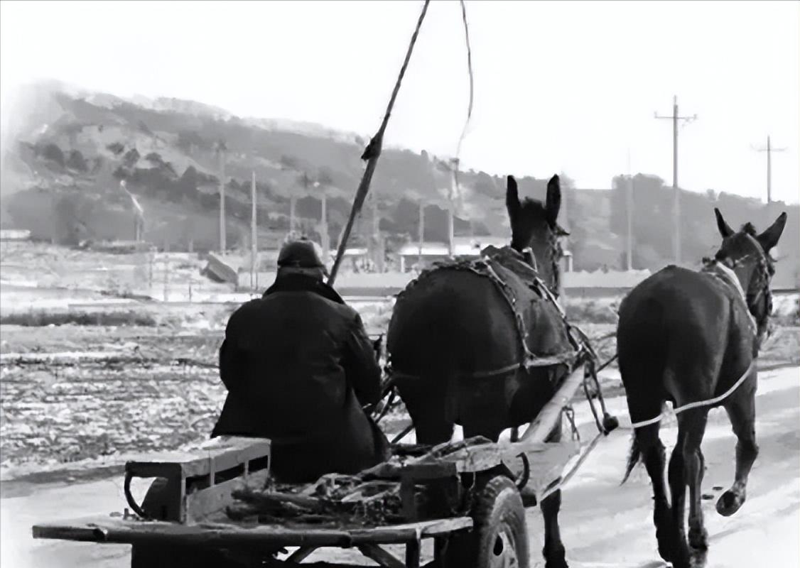 1968年，刚刑满释放的土匪齐达榜慌慌张张地跑到了公安局，“报告，报告，我有要紧