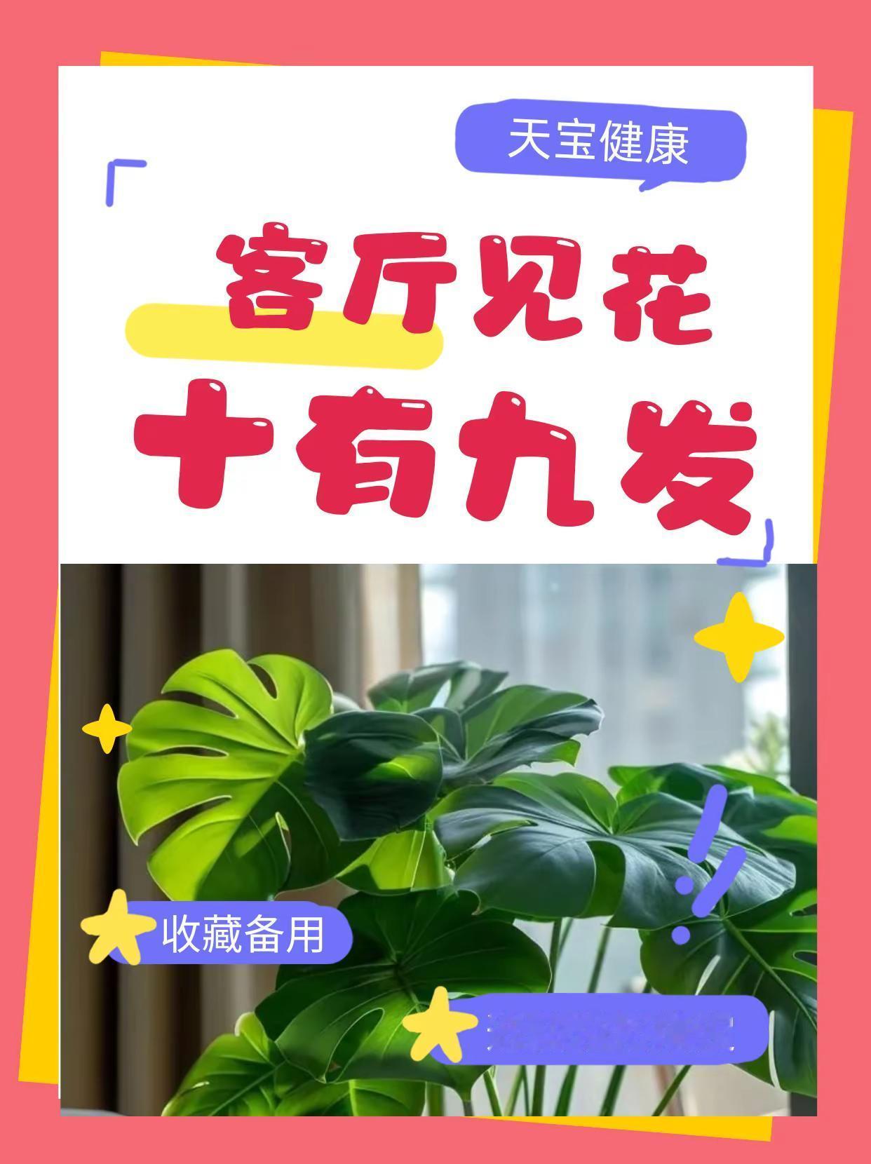 宅家好养绿植，好看旺家，新手零失败。不少朋友都想养花卉，却没时间精细打理，总想找