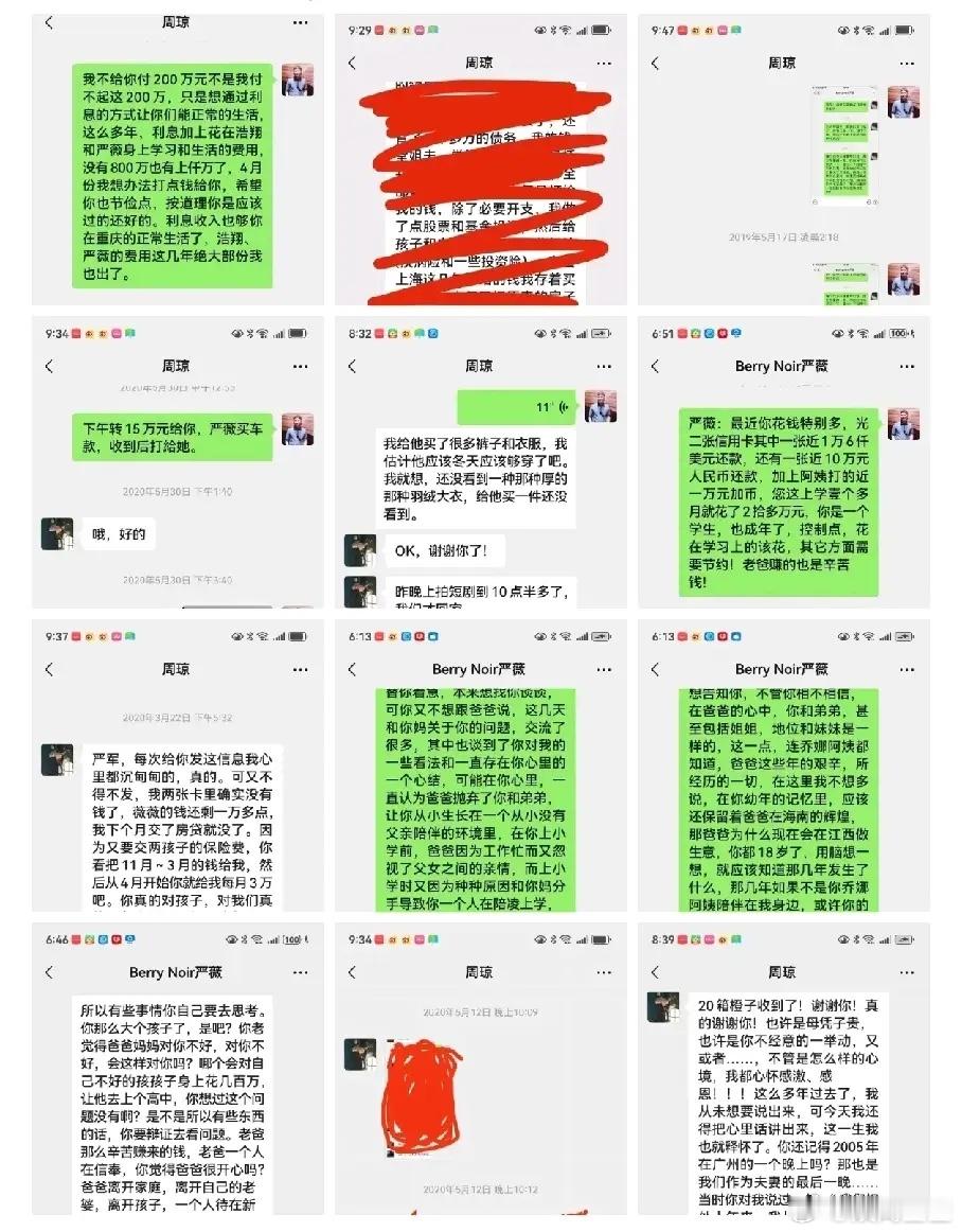 严浩翔爸爸严军晒出了和严浩翔妈妈周琼和姐姐的聊天记录。总结一下，两人确实在09年