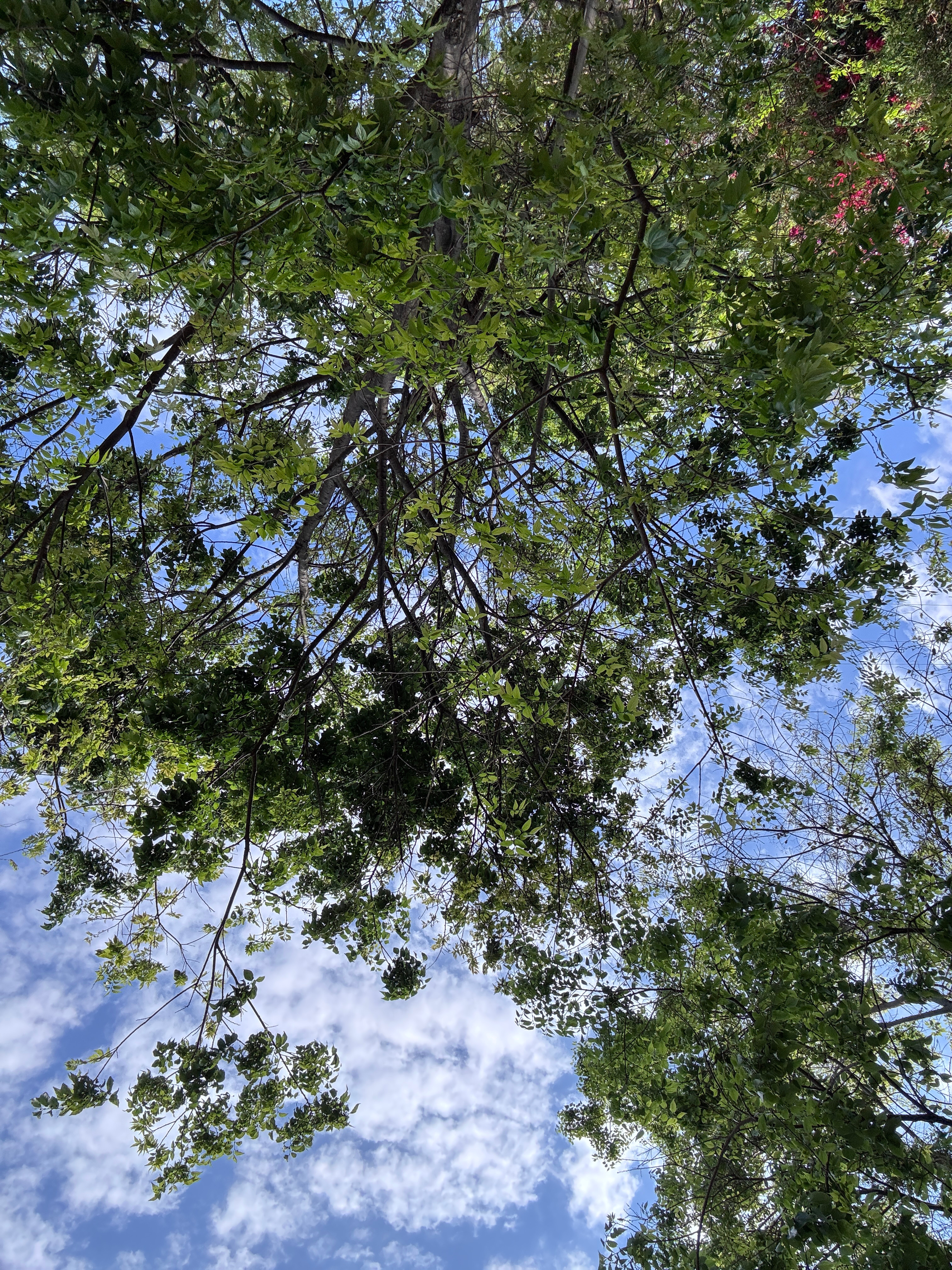 读书是见世面最快的方式我的私人宝藏书单书评 把风景还给心动，把温柔留给自己李娟在