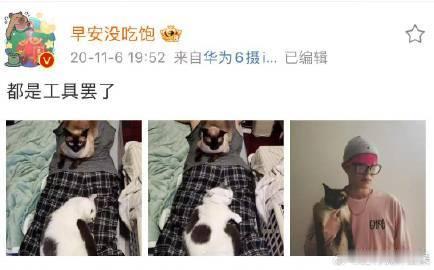 早安向李承铉炫耀他的四只猫养宠人共鸣了！早安聊猫秒切老父亲模式，眼里全是爱～ 每