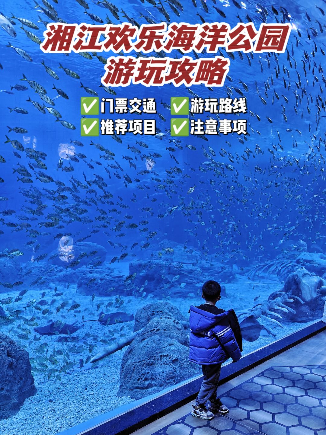 去了，唯一缺点：不看攻略真的不行❗