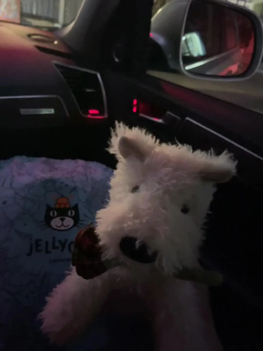 我喜欢给我昂贵东西的人 比如尊重 时间 信任 支持 真诚 宠爱 金钱