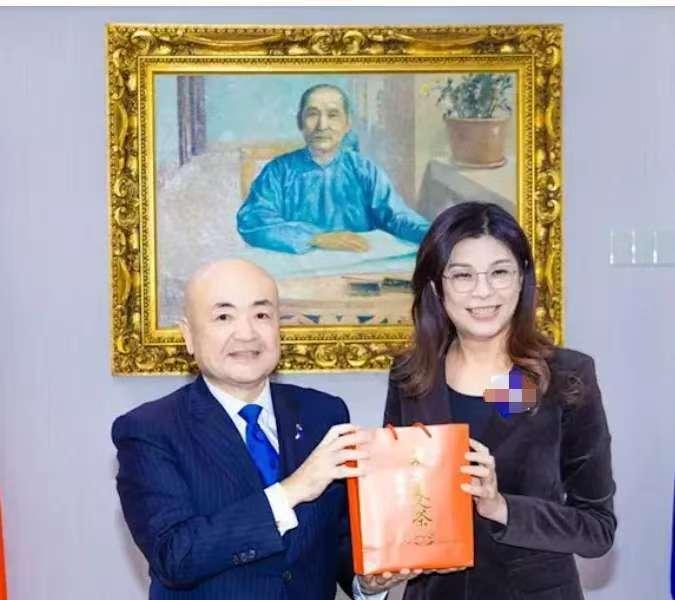 郑丽文在11月13日与日本驻台代表片山和之会晤时，提议共促台海和平稳定。这一信息