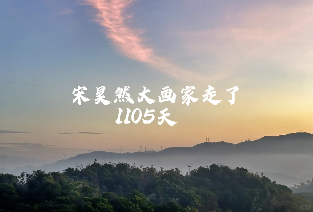 宋昊然大画家走了1105天