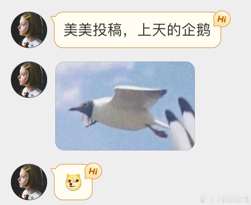 红嘴鸥：？？？ ​​​