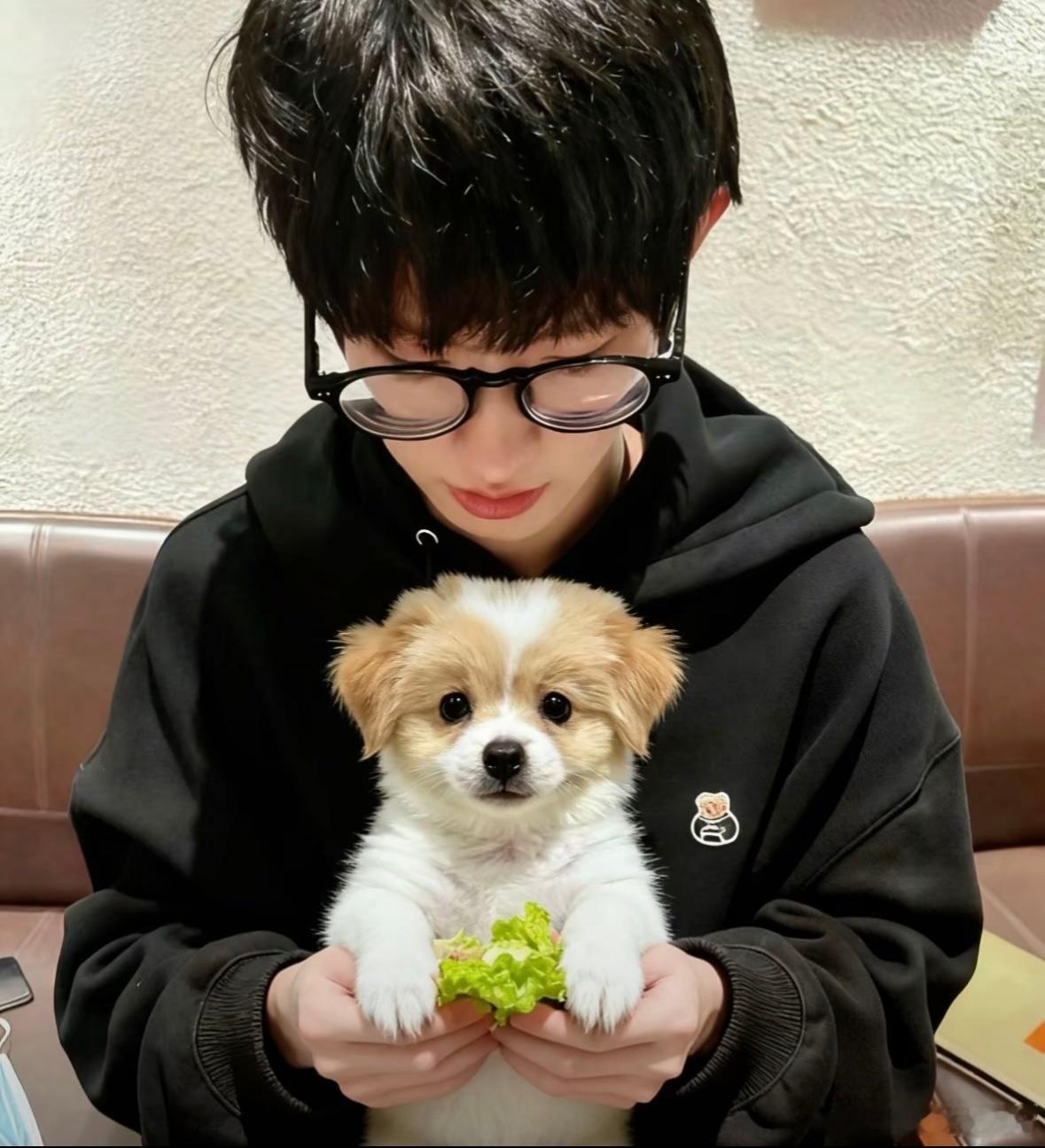 一诺xbc  12.1贴贴 看到就回