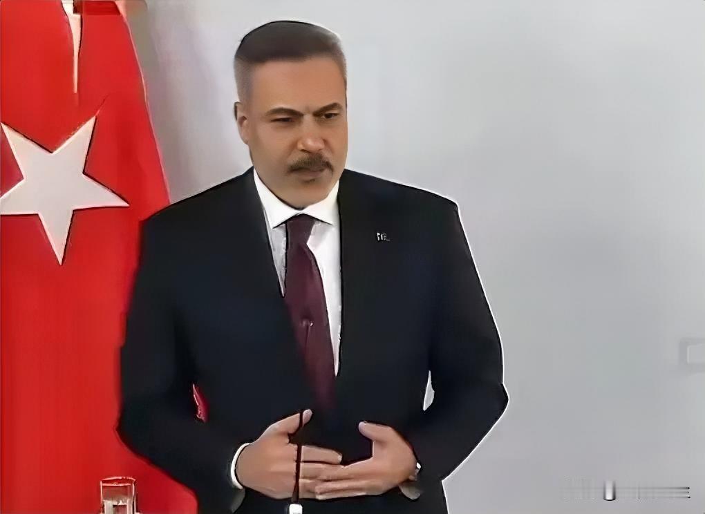 土耳其外长哈坎·菲丹表示，即使土耳其满足了入盟条件，欧盟也没有政治意愿接受其成为