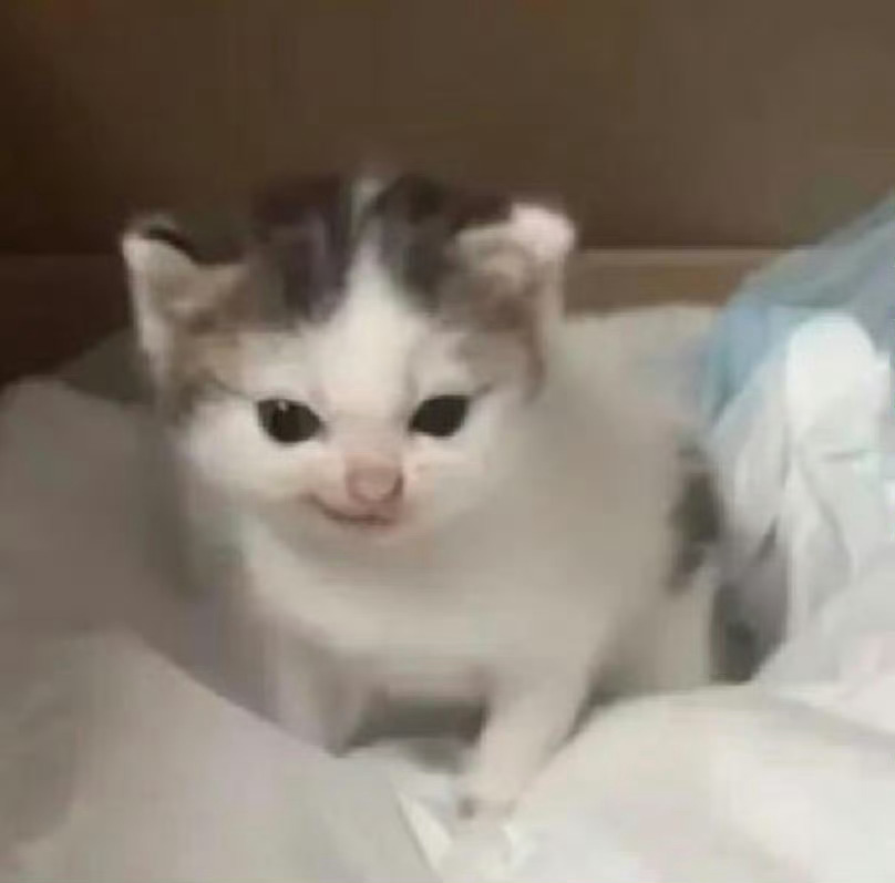 肖战cos小猫歪嘴笑这真的是人类能够承受的萌度吗？！ ​​​