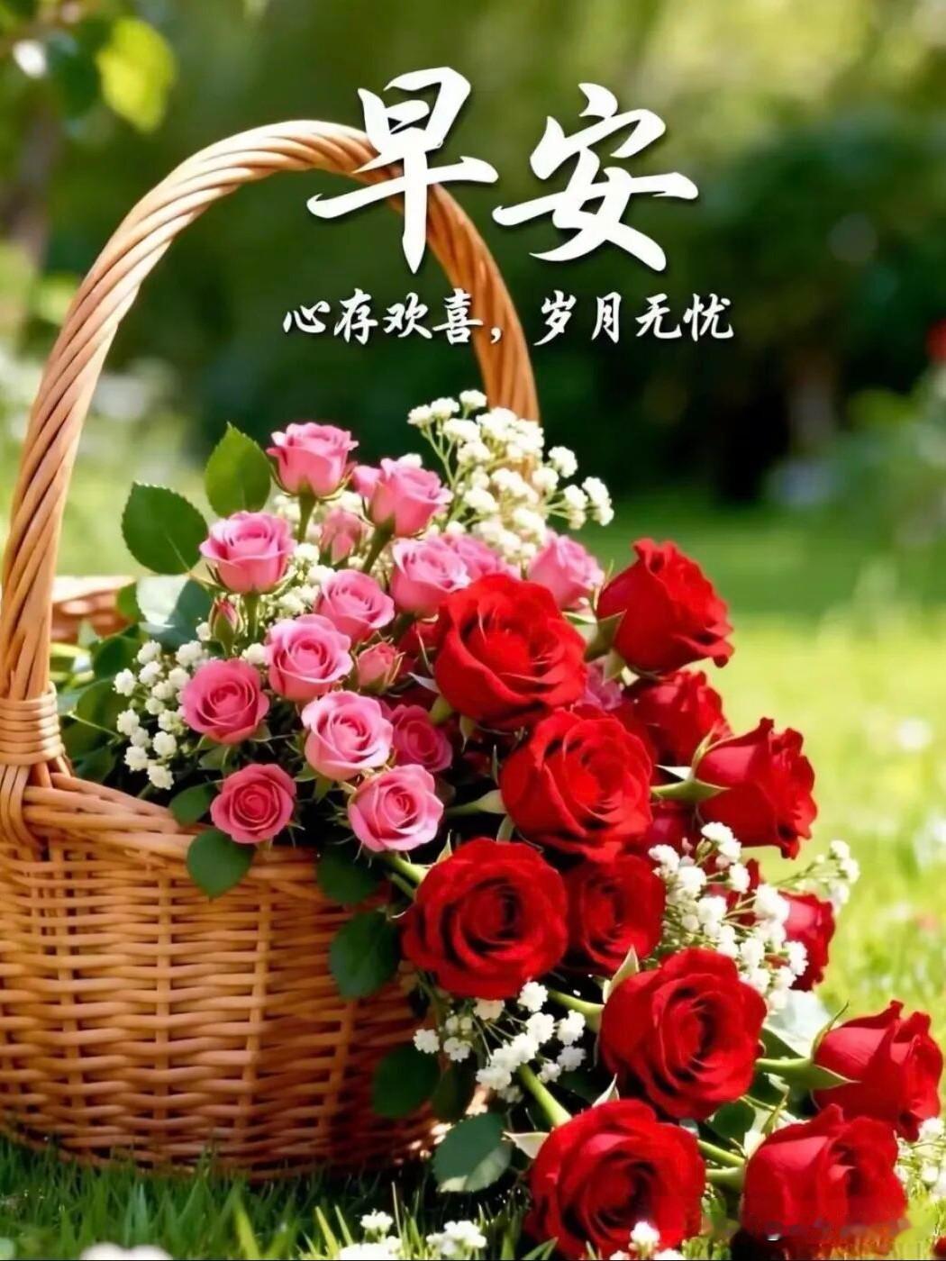 🍂9月27日周日，中秋假日最后一天。

秋意渐深，气温转凉，记得添衣保暖，顺应