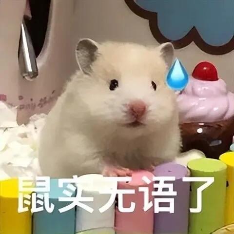 可算拍完了，胖了以后拍照辛苦嘟，怀念瘦瘦嘟我 
