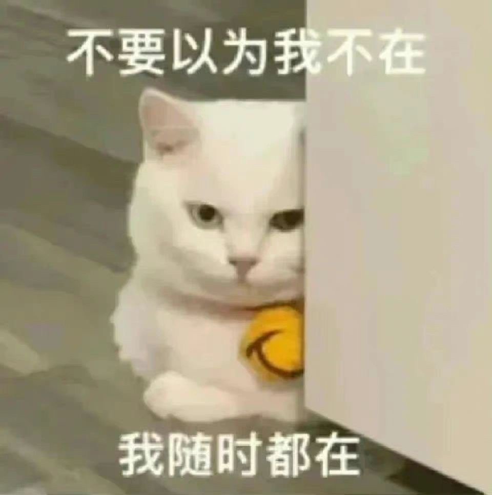 丰富一下表情包[送花花] ​​​