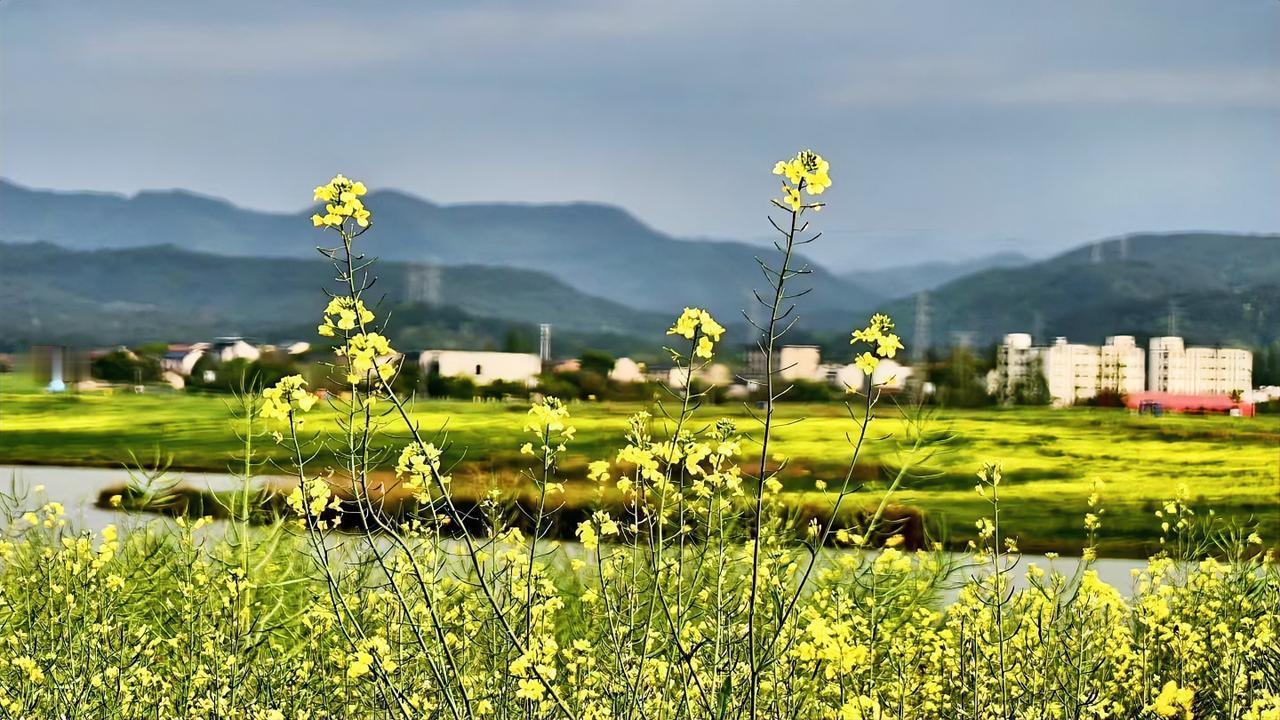 张雪峰说得直白：“不拼学习，一旦掉进底层，身边环境差、资源少，人很容易被欺负、被