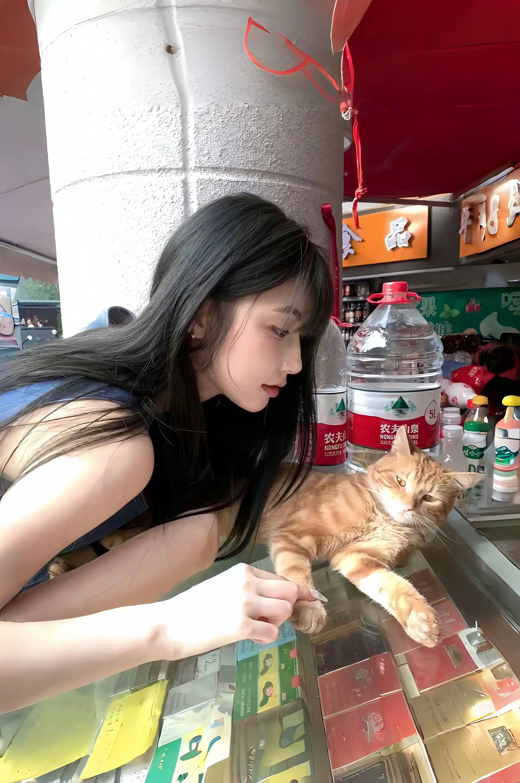 那天我又遇到了可爱的小猫 但我不想告诉你了